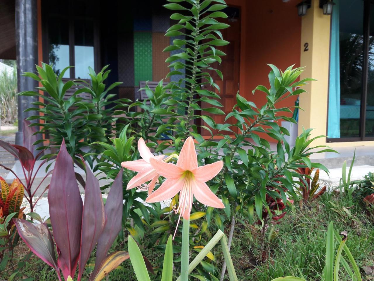 Villa Raintree Bangsak Khao Lak Exterior foto